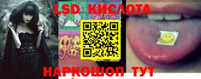 спайс Владимир